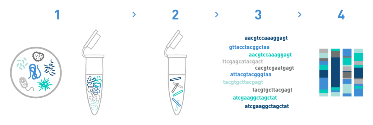 The image shows how the Wine industry can analyse the microbiome associated to grapevine, soil, and vineyard samples. The workflow is composed of DNA isolation from the samples, library preparation, high-throughput sequencing, and bioinformatic analysis. It allows to obtain the microbial taxonomic compositions of the samples analysed.