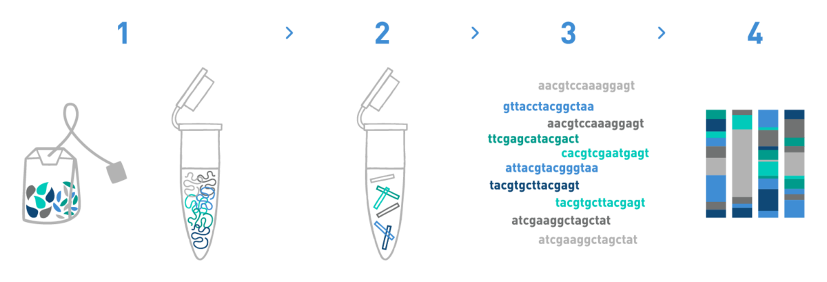 Graph showing a workflow of a typical DNA metabarcoding analysis for the Food industry, including DNA isolation of a food sample (for example, a herbal tea blend), library preparation, high-throughput sequencing, and bioinformatic analysis. The results of the bioinformatic analysis show the ingredient composition of the original sample.