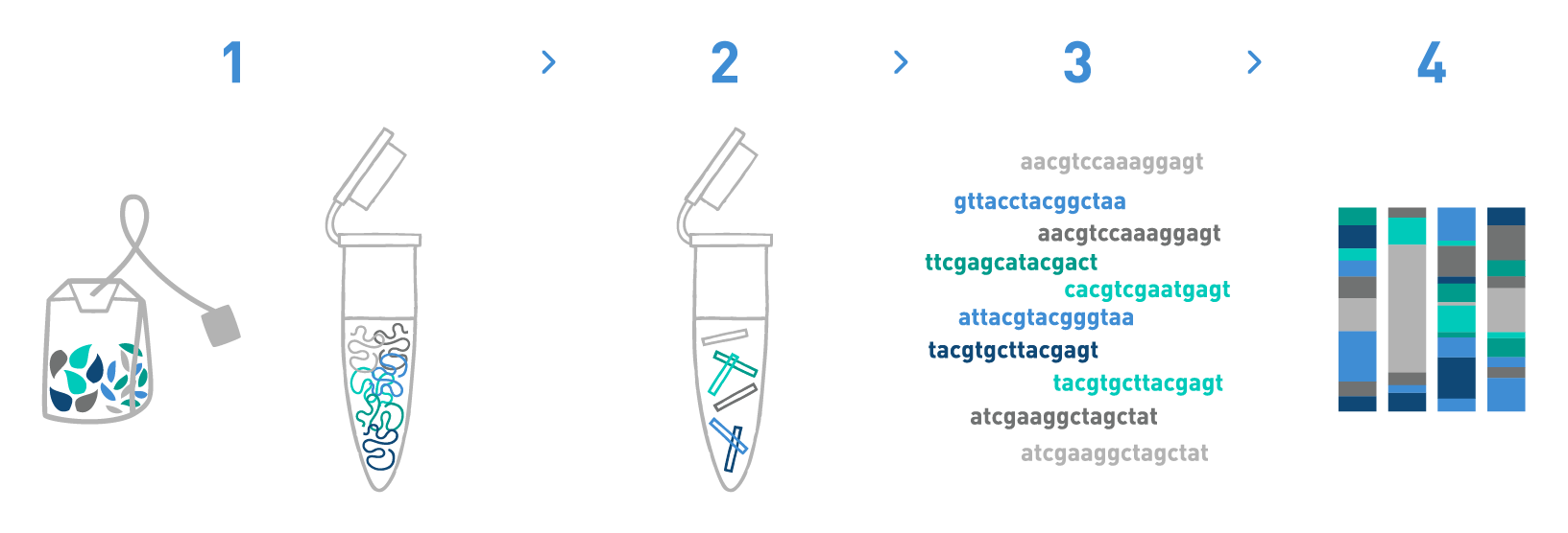 Identification of food ingredients by DNA metabarcoding
