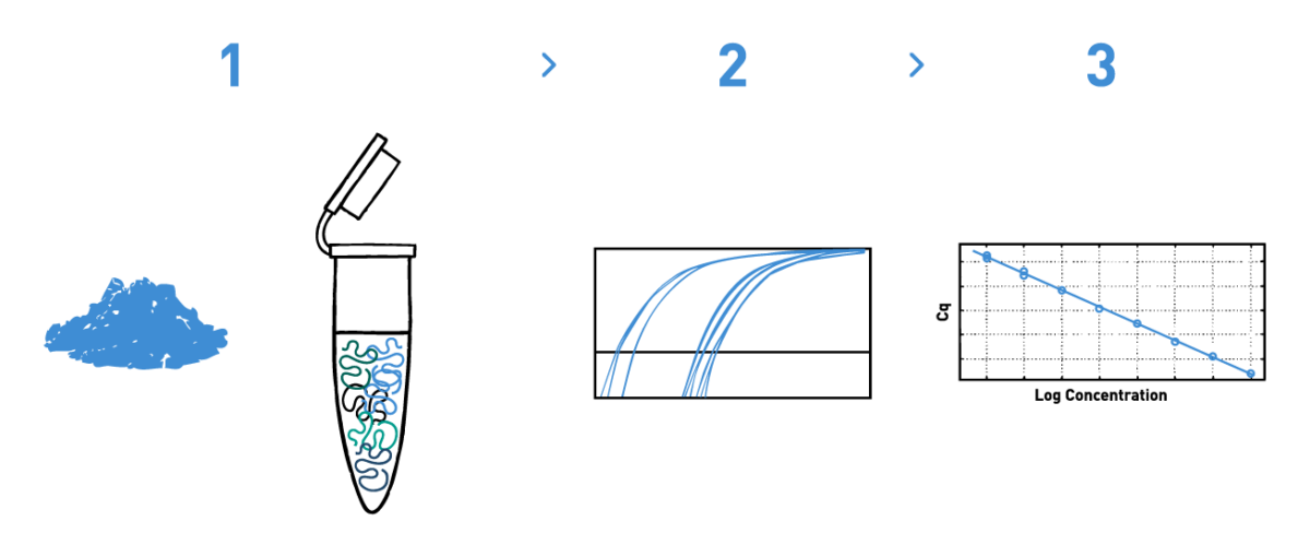 Graph showing a typical workflow of a qPCR experiment to identify microorganisms in soil, including DNA isolation, qPCR amplification to quantify the microbial strain under study, and bioinformatic analysis to confirm the presence/absence of the strain of interest.