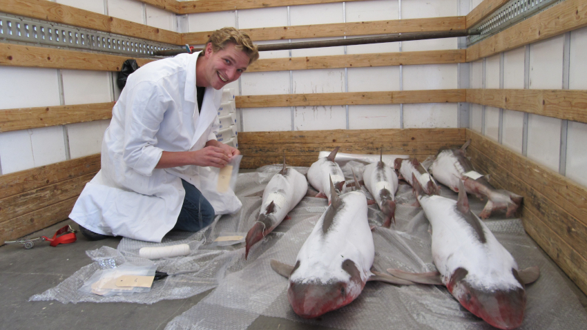 The image shows Pepijn Kamminga, winner of the AllGenetics-EMPSEB Award.