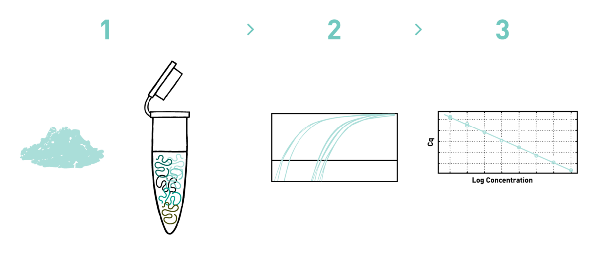 This graph shows the different steps of the AllGenetics' qPCR service. Therefore it shows a typical workflow of a qPCR experiment, including RNA isolation, cDNA retrotranscription, amplification of the target genome regions, and data analysis.