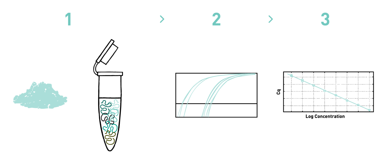 qPCR service
