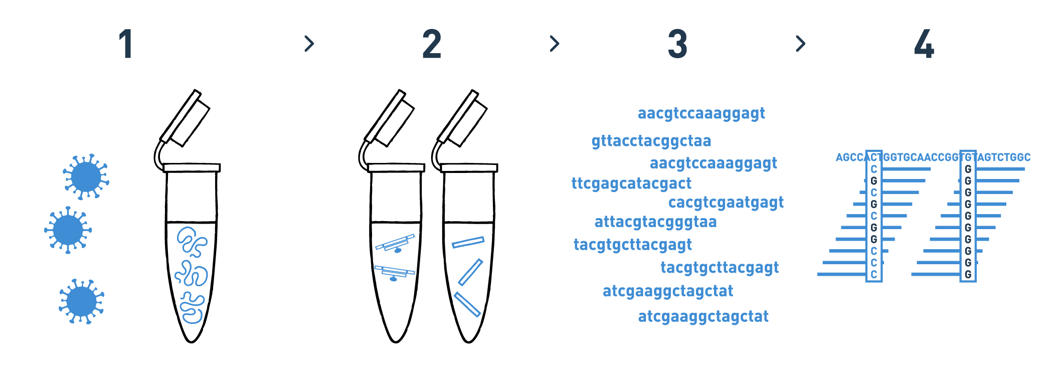 The graph shows a typical workflow of a targeted capture sequencing analysis aimed at sequencing SARS-CoV-2 variants from wastewater samples. The workflow includes a series of steps namely RNA isolation, cDNA conversion, capture, library preparation, high-throughput sequencing, and bioinformatic analysis. Results allow to recover nearly full-length SARS-CoV-2 genomes and detect co-circulating variants.