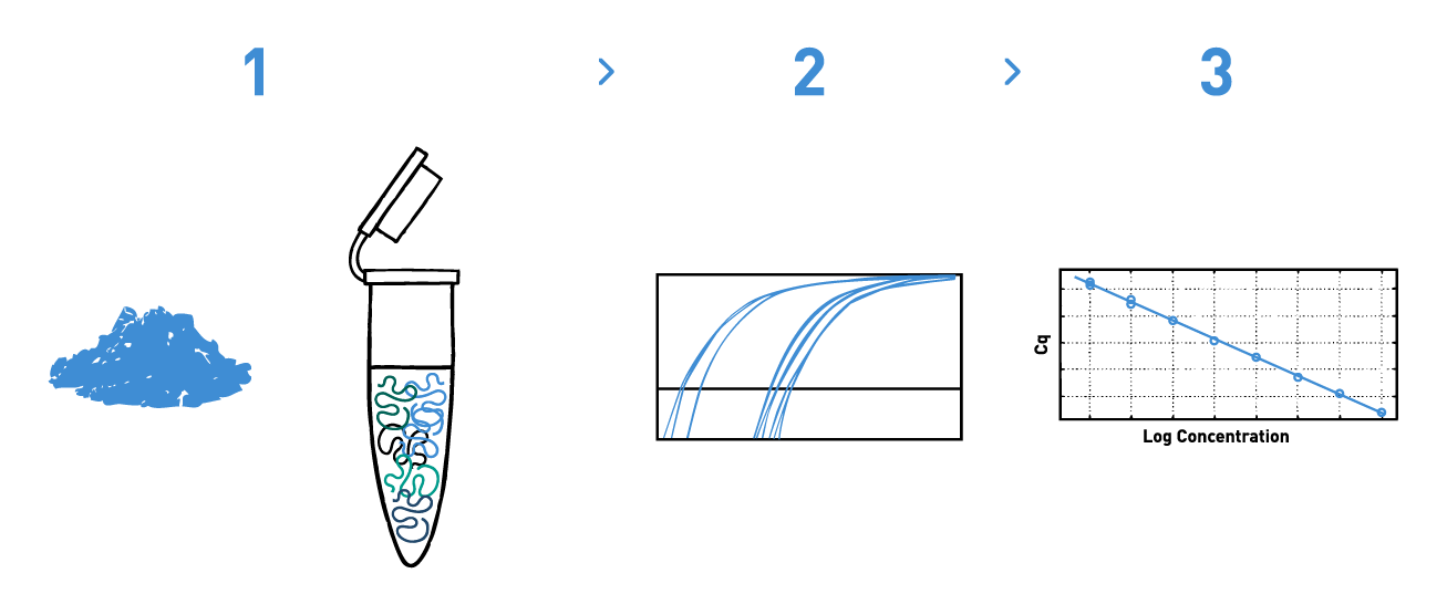 soil-and-plant-microorganism-detection-service-using-qpcr-service The image shows a typical workflow of a qPCR experiment to identify microorganisms in soil to assess the effects of inoculation of biological control agents by the Agriculture industry. The different steps of the workflow include DNA isolation from soil samples, qPCR amplification, and bioinformatic analysis to confirm the presence/absence of the strain of interest.